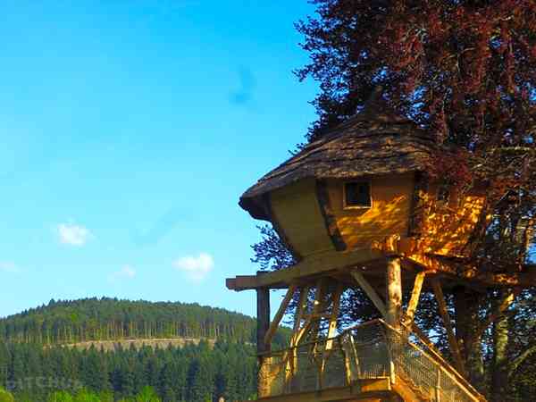 Casa sull'albero Pourpre