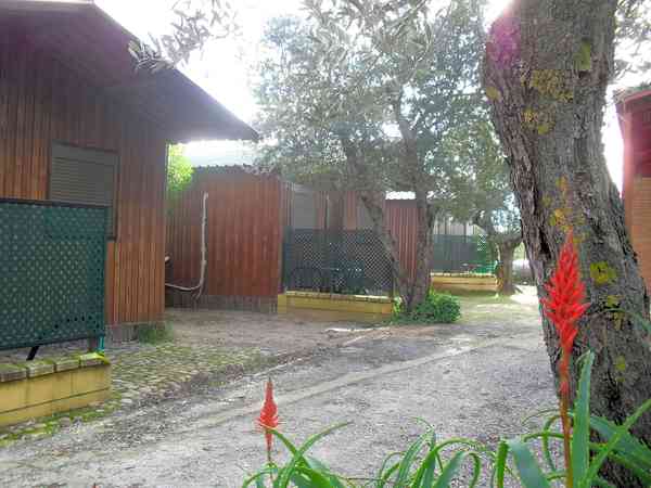 Bungalow 1 chambre