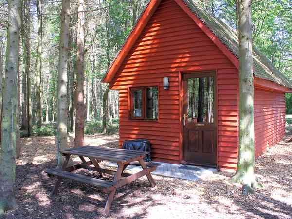 Mini-chalet Fox 1 chambre (4 personnes)