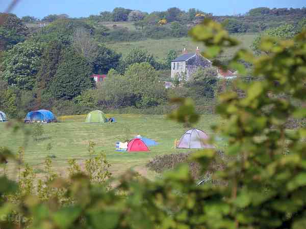 Non-electric grass tent pitch (maximum 2 adults)