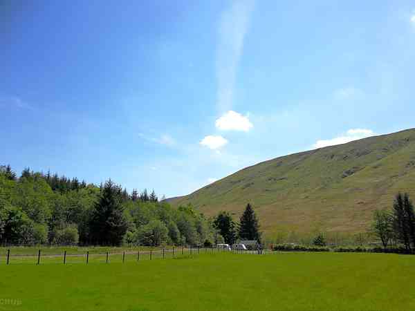 Wide grassy field Wide grassy field