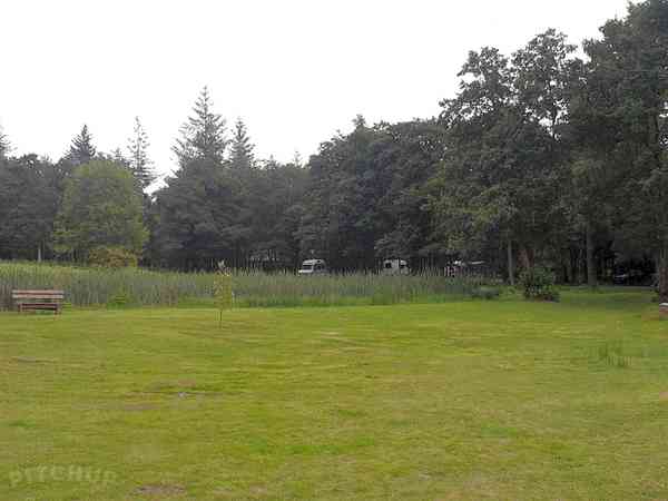 Non-electric grass tent pitch (solo)