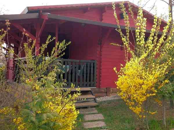 1 bedroom cabin