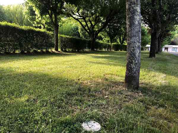 Electric optional grass and earth pitch
