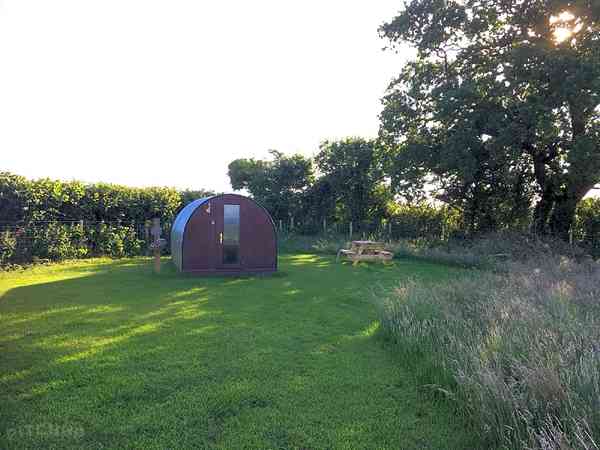 Pod Cwtch
