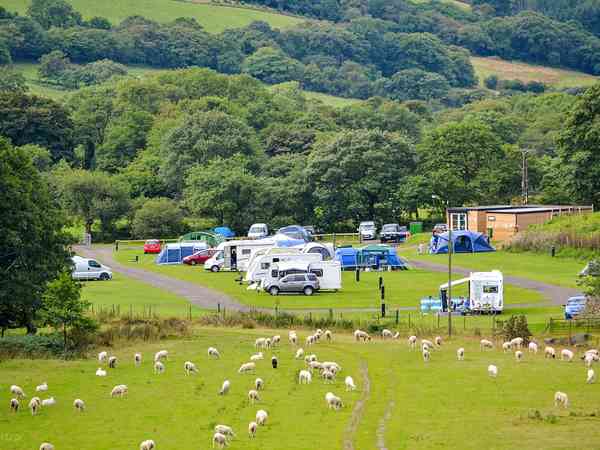 Electric hardstanding and grass pitch (2 adults and 2 children)