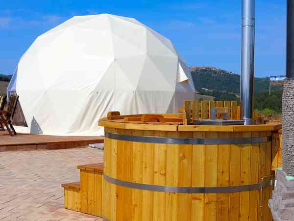 Cupola geodetica (animali proibiti)