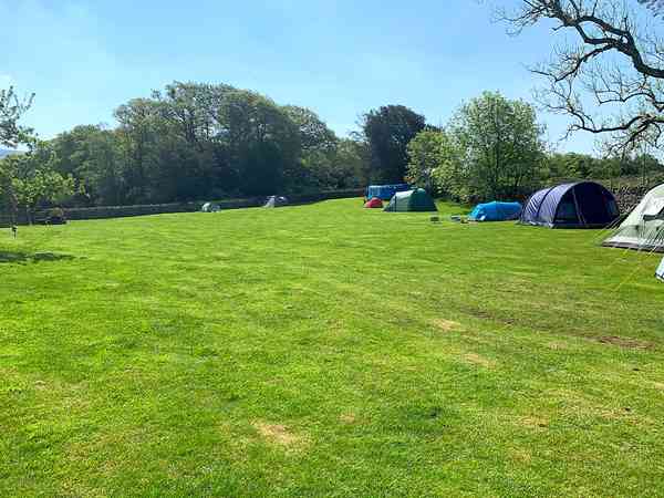 Staplaats voor een tent op gras zonder elektriciteit (groot, tot 6 personen)