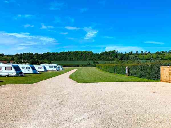 Electric grass pitch