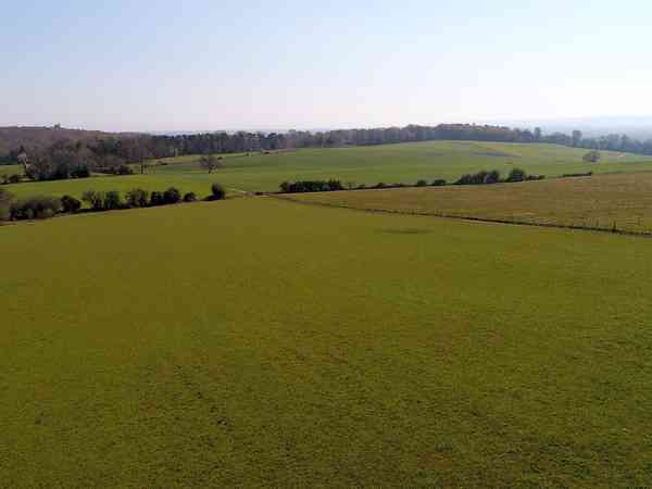 Bridletrack non-electric grass tent pitch