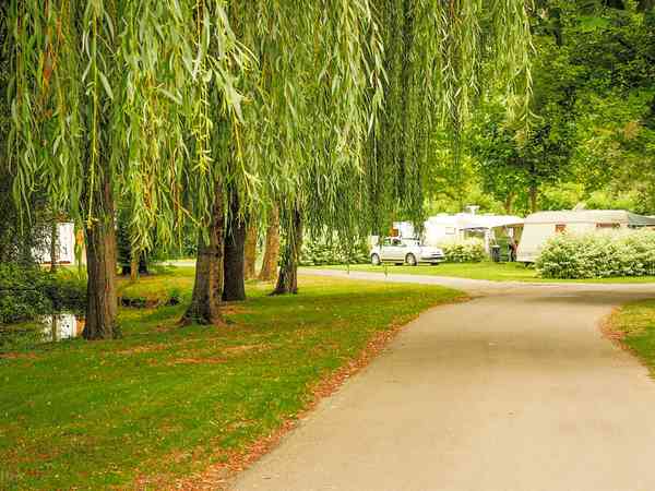 Emplacement pour tente ou camping-car sur herbe avec électricité optionnelle