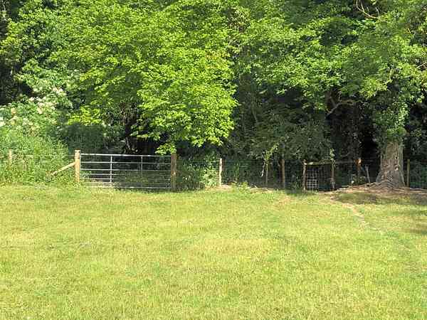 Non-electric grass tent pitch