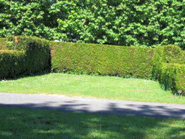 Electric optional grass and earth pitch