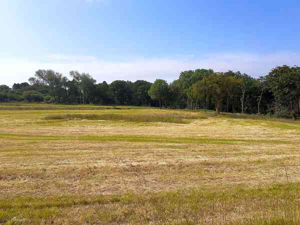 Non-electric grass tent pitch
