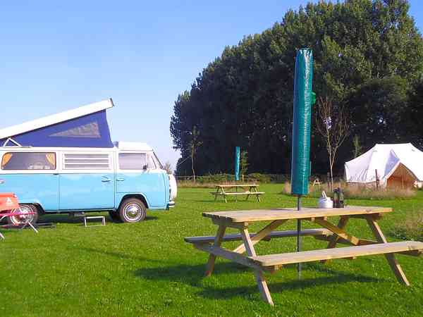 Spacious grass pitches Spacious grass pitches