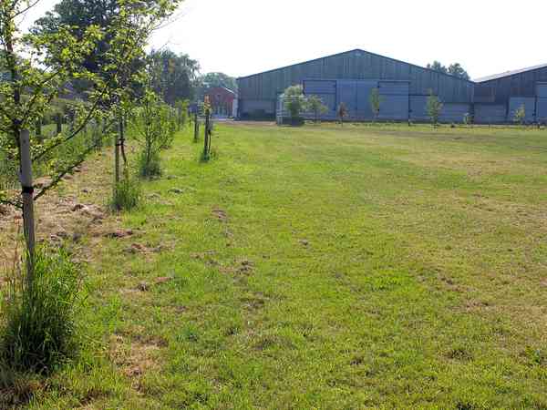 Electric hook up pitches are around the edges of the 7.5-hectare field Electric hook up pitches are around the edges of the 7.5-hectare field
