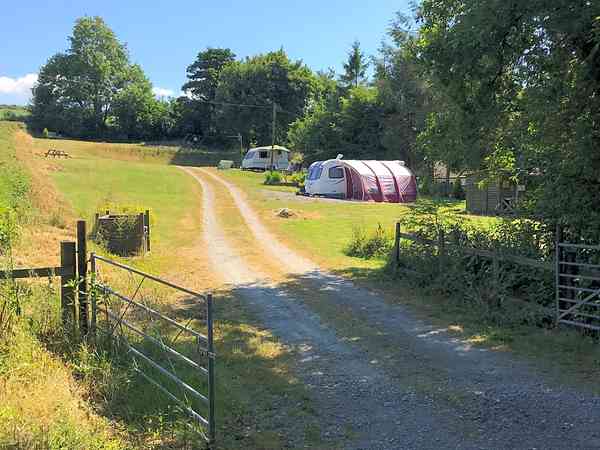 Emplacement pour tente ou pour caravane pliante sur herbe avec électricité optionnelle (large)