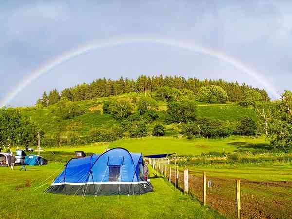 Electric grass tent pitch (large)