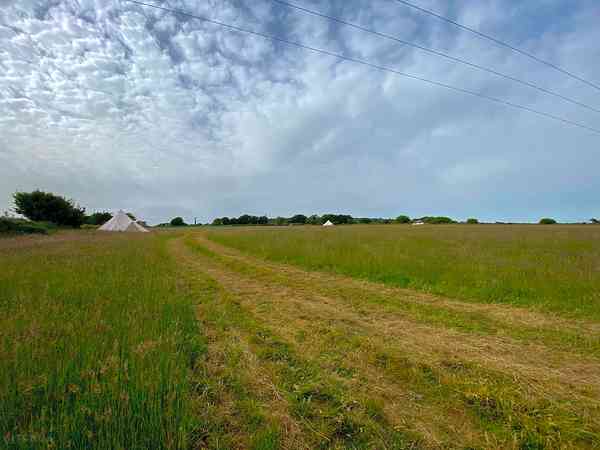 Primitive grass campervan site