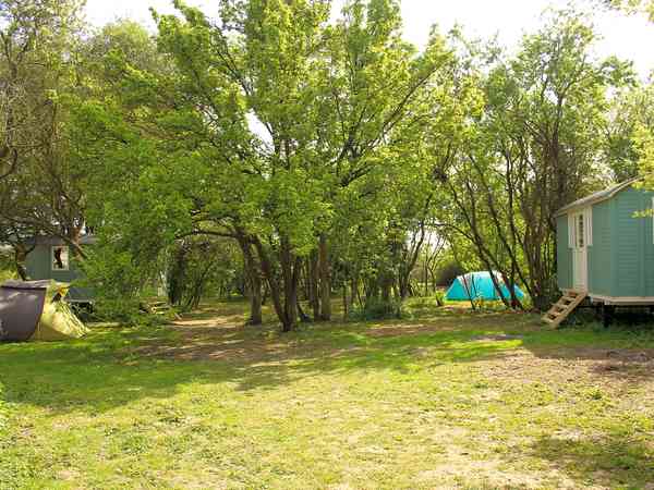 Non-electric forest floor tent pitch
