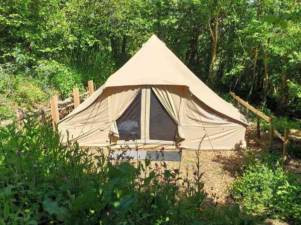 Wildflower safari tent