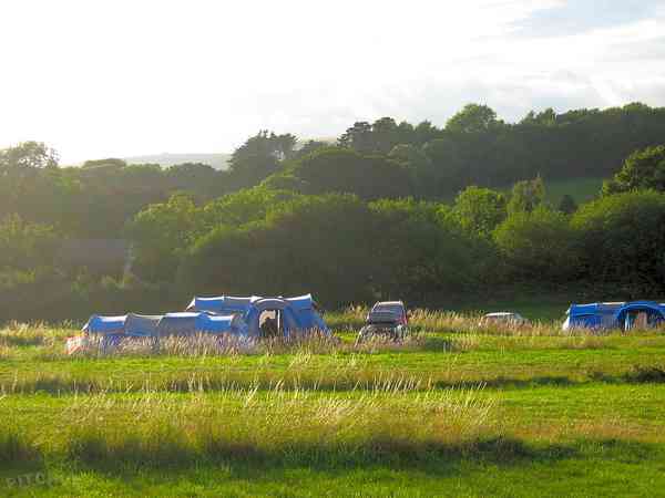 Non-electric grass tent, trailer tent or campervan pitch