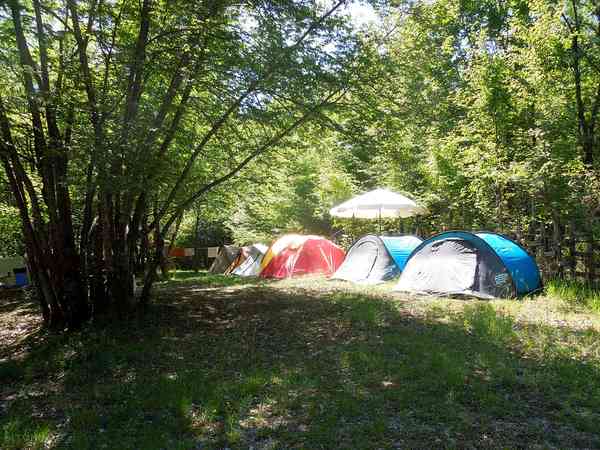 Piazzola tenda o carrello tenda su sottobosco con elettricità