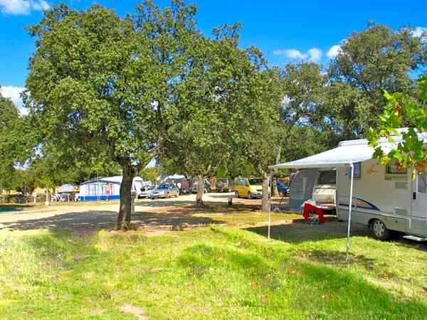 Powered concrete and grass motorhome site