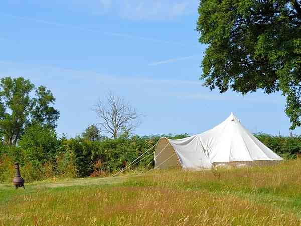 Bell tent (pet friendly)
