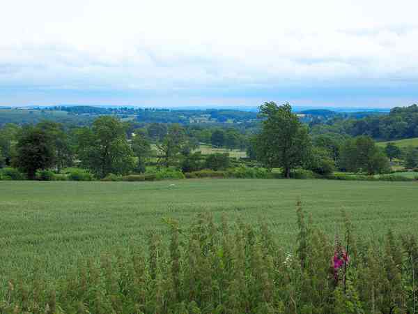 Views from the site down the Vale of York Views from the site down the Vale of York