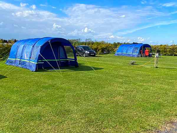 16-amp electric grass pitch