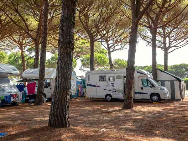 Piazzola camper su erba e terra con elettricità