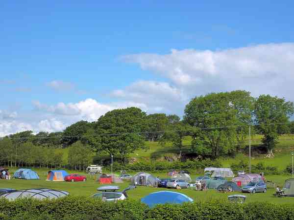 Camping on the meadow Camping on the meadow