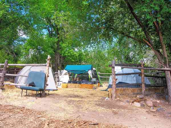 Curry non-electric grass and earth tent pitch