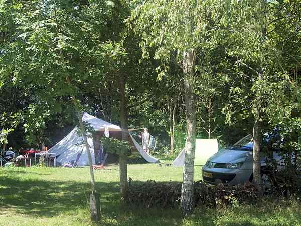 Plass på gressplen , med muligheter for strøm