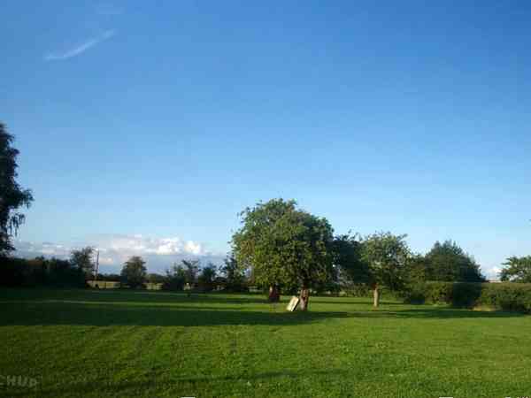 Powered grass site