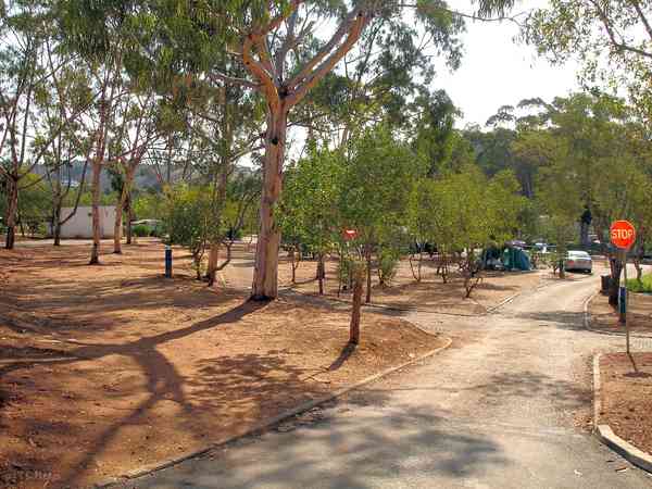 Camping area Camping area
