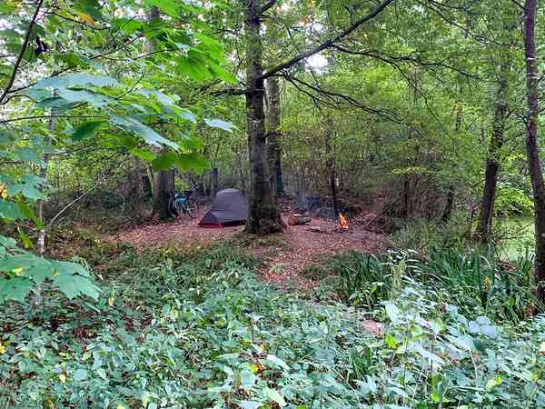 Pond non-electric forest floor tent pitch (adults only)