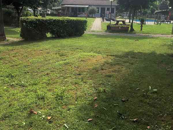 Pitch near the bar and swimming pool Pitch near the bar and swimming pool