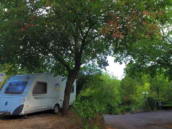 Pitches under the trees Pitches under the trees