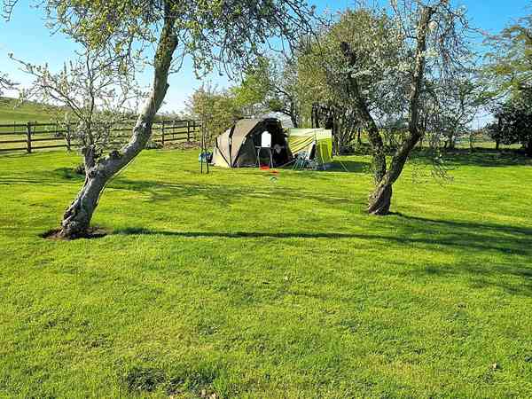 Orchard non-electric grass tent pitch