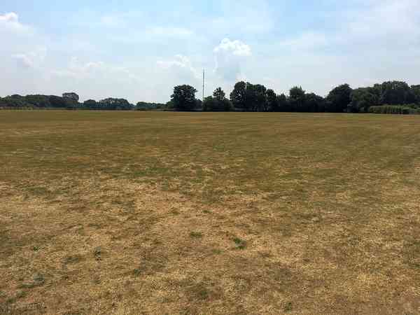 Spacious grassy site Spacious grassy site