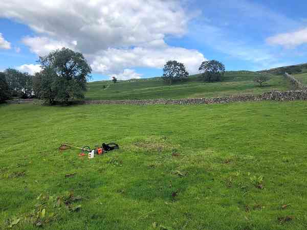 Non-electric grass tent pitch
