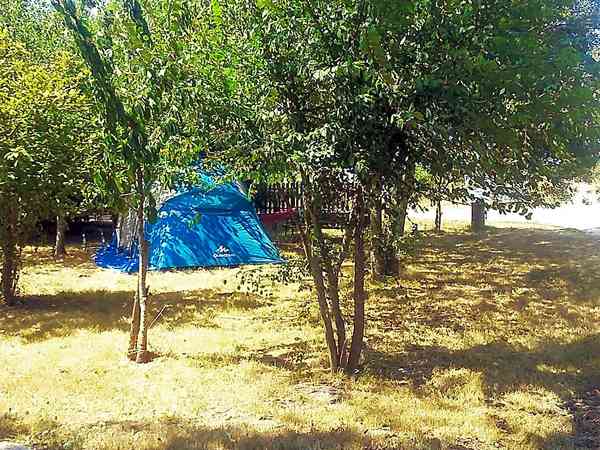 Emplacement pour tente sur herbe et sur sol en terre sans électricité