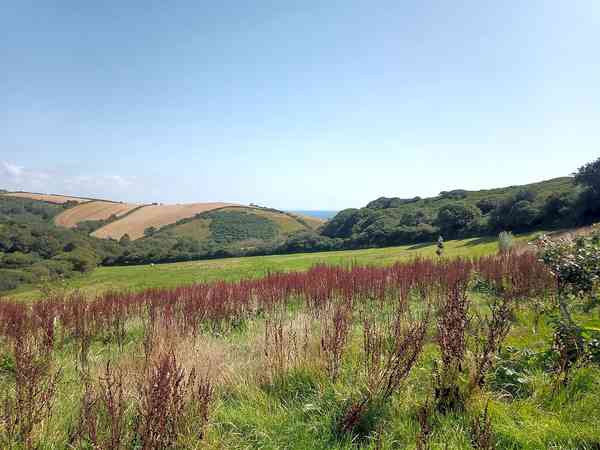 Non-electric grass motorhome pitch
