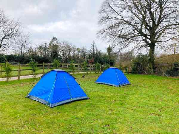 Electric grass tent pitch