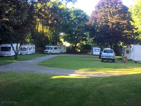 Spacious pitches with trees for shade Spacious pitches with trees for shade