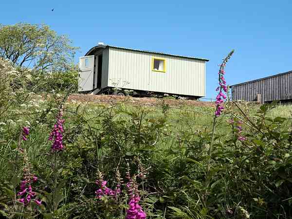 Looking up at the shepherd's hut Looking up at the shepherd's hut