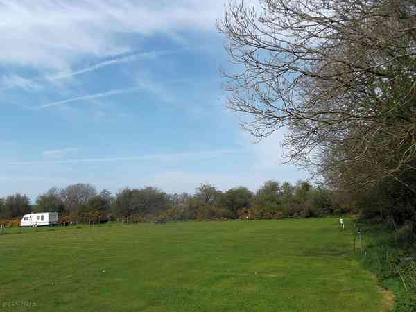 Peaceful, spacious pitches Peaceful, spacious pitches