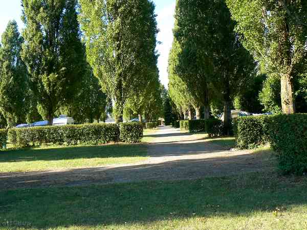 Fully-serviced grass pitch
